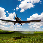 Certificación Ipanema 203 DINAC Paraguay