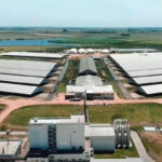 Trafigura acuerda SAF avanzado desde Uruguay