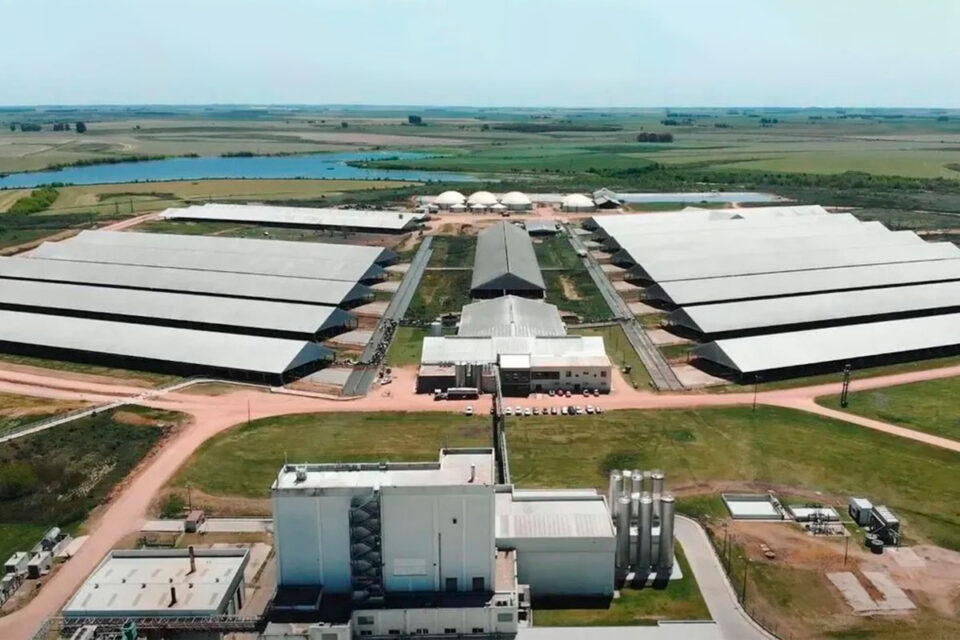 Trafigura acuerda SAF avanzado desde Uruguay